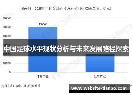 中国足球水平现状分析与未来发展路径探索